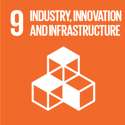 SDG 9 Icon 