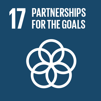  SDG 17 Icon 